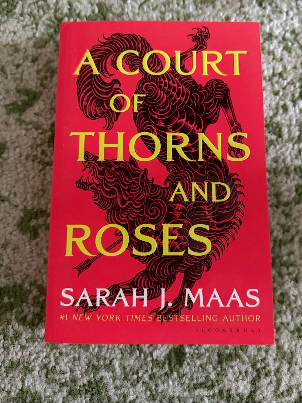 A Court of Thorns And Roses book 1 & 2